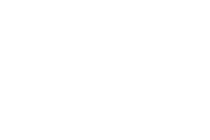 Cedar Digital Solutions services